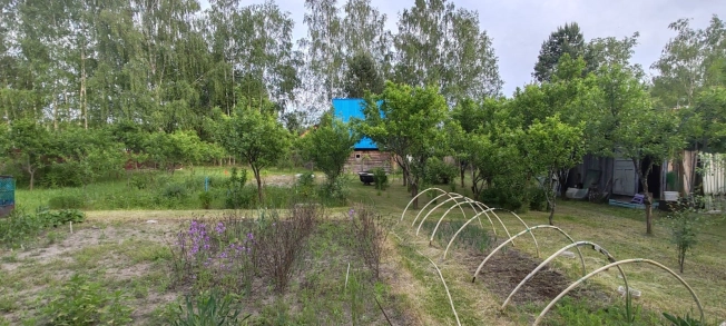 Купить дом в Судогде. Вариант № 48175, 23, площадь -  квм, цена 7999000 рублей