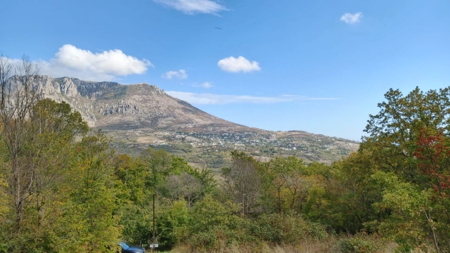 Купить земельный участок в Республике Крым. Вариант № 5270485, 0, площадь -  квм, цена 8500000 рублей