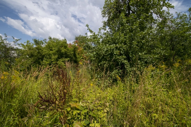 Купить земельный участок у метро Двигатель Революции в Нижнем Новгороде. Вариант № 1161099, 6, площадь - квм, цена 1550000 рублей