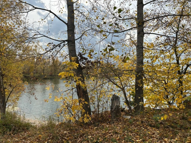 Купить земельный участок в Новосибирске. Вариант № 5524148, 2, площадь -  квм, цена 870000 рублей