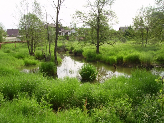 Купить земельный участок в Иванове. Вариант № 56480, 11, площадь -  квм, цена 1800000 рублей