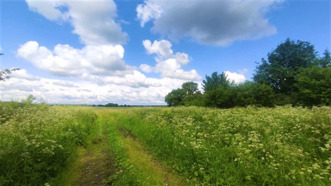 Купить земельный участок в Владимире. Вариант № 7619819, 2, площадь -  квм, цена 950000 рублей