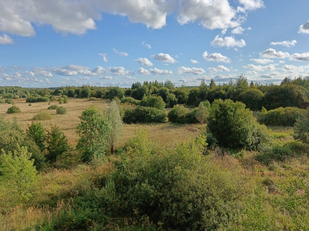 Купить квартиру в Вязниках. Вариант № 2821425, 19, площадь -  квм, цена 1450000 рублей