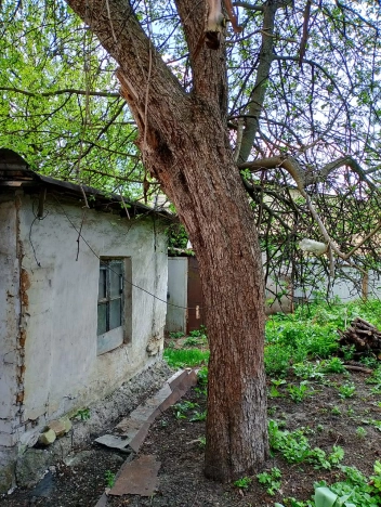 Купить дом в Липецкой области. Вариант № 1784286, 5, площадь -  квм, цена 990000 рублей