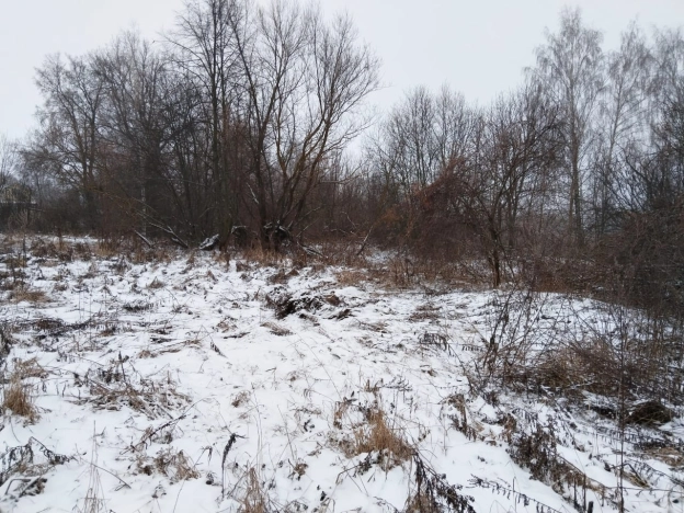 Купить земельный участок в Тульской области. Вариант № 19500, 4, площадь -  квм, цена 495000 рублей