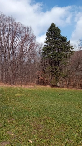 Купить земельный участок в Арсеньеве. Вариант № 16347, 5, площадь -  квм, цена 6200000 рублей