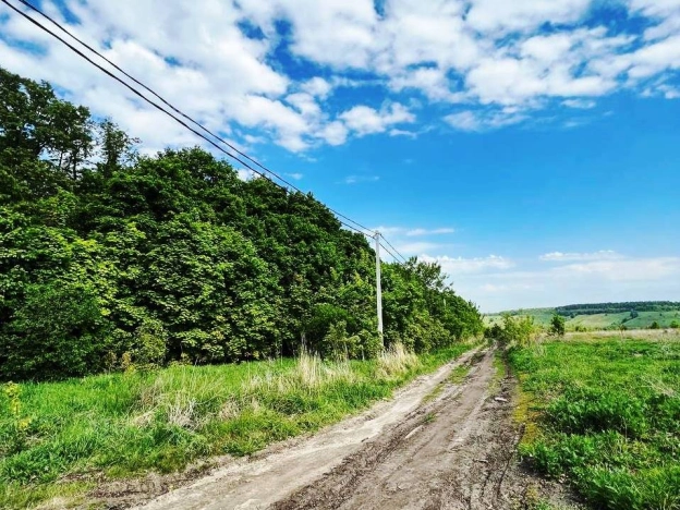 Купить земельный участок на улице 2-й проезд Добролюбова в Пензе. Вариант № 36496, 2, площадь -  квм, цена 1860000 рублей