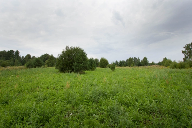 Купить земельный участок в Коврове. Вариант № 6052, 0, площадь -  квм, цена 650000 рублей