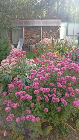 Купить дом в районе Заельцовский в Новосибирске. Вариант № 5441533, 11, площадь -  квм, цена 12990000 рублей