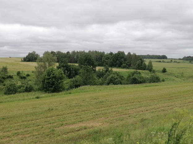 Купить земельный участок на улице Полянка в Владимире. Вариант № 274200, 1, площадь -  квм, цена 400000 рублей