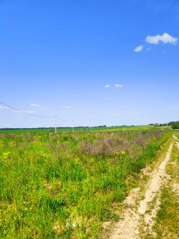Купить земельный участок в Вологодской области. Вариант № 48257, 1, площадь -  квм, цена 390000 рублей