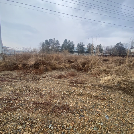 Купить земельный участок в Арсеньеве. Вариант № 33326, 3, площадь -  квм, цена 2500000 рублей