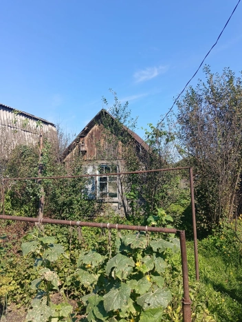 Купить земельный участок в Алтайском крае. Вариант № 2696369, 9, площадь -  квм, цена 220000 рублей