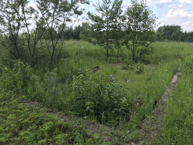 Купить земельный участок в Москве. Вариант № 6269, 3, площадь -  квм, цена 800000 рублей