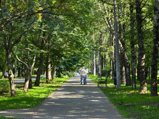Купить квартиру в Москве. Вариант № 7611794, 0, площадь -  квм, цена 31500000 рублей