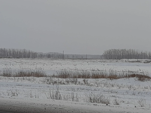 Купить земельный участок в Микрорайоне Московка-2 в Омске. Вариант № 4105, 21, площадь -  квм, цена 30000000 рублей