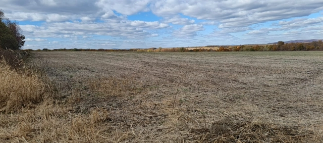 Купить земельный участок в Уссурийске. Вариант № 7967038, 2, площадь -  квм, цена 2700000 рублей