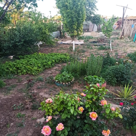 Купить дом в Элисте. Вариант № 281625, 13, площадь -  квм, цена 1800000 рублей