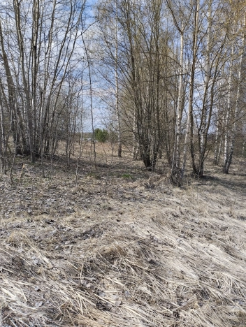 Купить земельный участок в Вязниках. Вариант № 37297, 8, площадь -  квм, цена 830000 рублей