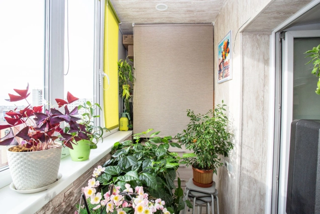 Купить квартиру в Тобольске. Вариант № 8028699, 12, площадь -  квм, цена 5450000 рублей