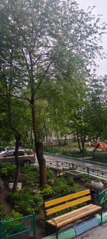 Купить двухкомнатную квартиру в Микрорайоне Золотая Нива в Новосибирске. Вариант № 39297, 29, площадь -  квм, цена 4850000 рублей