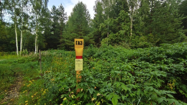 Купить земельный участок в районе Октябрьский в Владимире. Вариант № 1279575, 2, площадь -  квм, цена 1100000 рублей