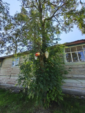 Купить дом в Судогде. Вариант № 817936, 11, площадь -  квм, цена 3500000 рублей