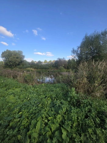 Купить земельный участок в Владимире. Вариант № 3776577, 0, площадь -  квм, цена 1100000 рублей