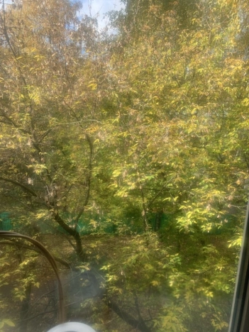 Купить квартиру в Москве. Вариант № 9045740, 22, площадь - квм, цена 11000000 рублей