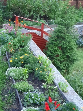 Купить дом в районе Заельцовский в Новосибирске. Вариант № 1152313, 3, площадь -  квм, цена 35000000 рублей