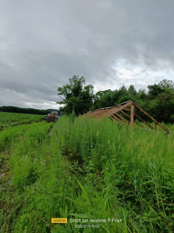 Купить земельный участок в Арсеньеве. Вариант № 1174, 3, площадь -  квм, цена 550000 рублей