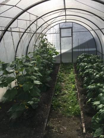 Купить земельный участок в Искитиме. Вариант № 7994367, 15, площадь -  квм, цена 5000000 рублей