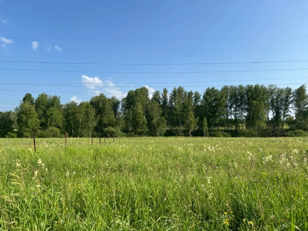 Купить земельный участок в Новосибирске. Вариант № 54115, 1, площадь -  квм, цена 1500000 рублей