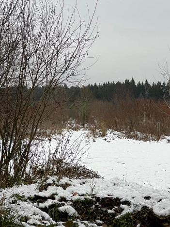 Купить дом в Санкт-Петербурге. Вариант № 9571441, 29, площадь -  квм, цена 5800000 рублей