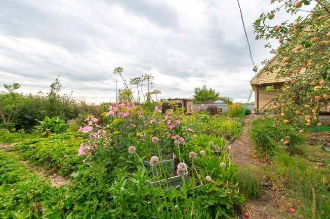 Купить земельный участок в Челябинской области. Вариант № 788777, 2, площадь -  квм, цена 550000 рублей