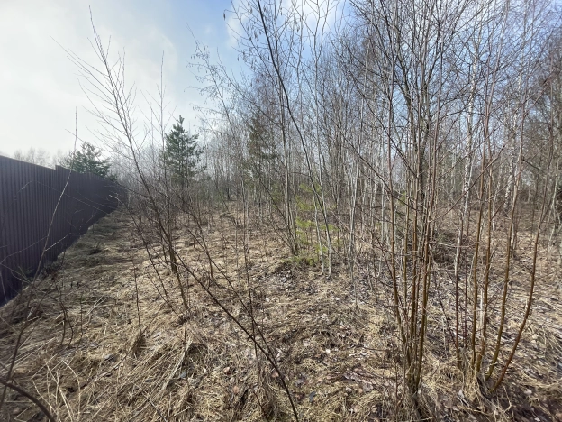 Купить земельный участок в Новгородской области. Вариант № 30972, 4, площадь -  квм, цена 500000 рублей