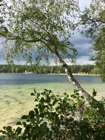 Купить трехкомнатную квартиру на улице Лихарево в Рязанской области. Вариант № 15514, 19, площадь -  квм, цена 4300000 рублей