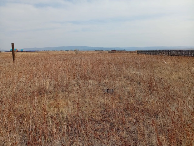 Купить земельный участок в Чите. Вариант № 21744, 3, площадь -  квм, цена 200000 рублей