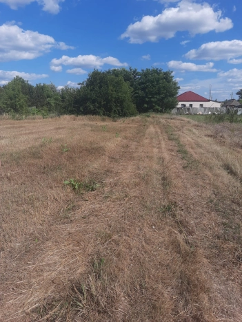 Купить земельный участок на улице Дачная в Белгородской области. Вариант № 2064744, 6, площадь -  квм, цена 750000 рублей