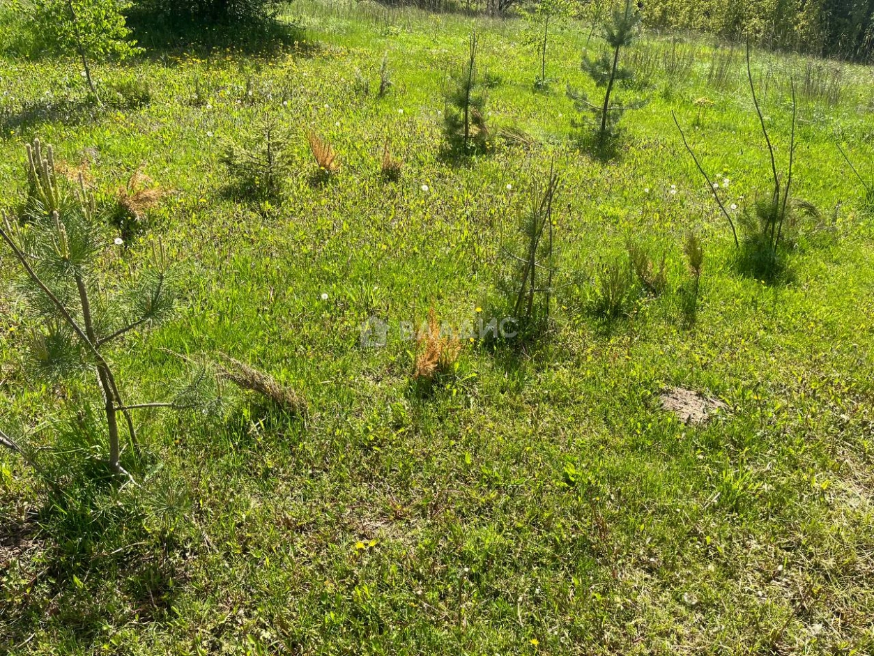 Photo https://36000382-a1c2-4a8a-a109-3fc3bfc73cf7.selcdn.net/App/Entity/ObjectRealty/ObjectRealty/HH/dc6c1443-45be-4495-bdf9-cfa6d12aba64/RFmXPTfIAEgZu2YmVNE0seuQKAEfr1ZNYRFweoV8.jpg.compressed.webp