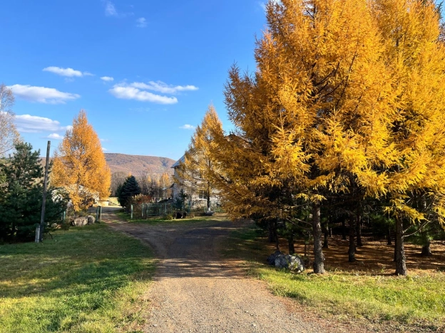 Купить дом в Приморском крае. Вариант № 9251287, 1, площадь -  квм, цена 8070000 рублей