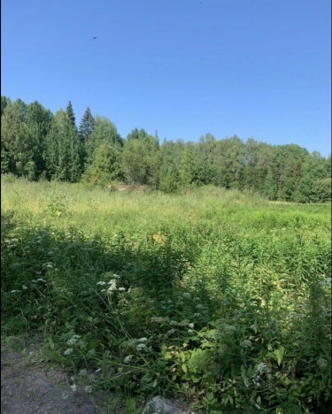 Купить земельный участок в Ленинградской области. Вариант № 10870766, 1, площадь - квм, цена 2100000 рублей