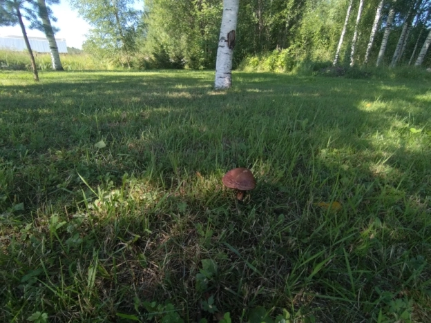 Купить дом в Вологде. Вариант № 11630, 48, площадь - квм, цена 13950000 рублей