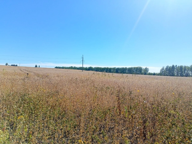 Купить земельный участок в Пензе. Вариант № 3828466, 1, площадь -  квм, цена 12000000 рублей