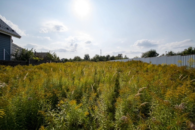 Купить земельный участок у метро Московская в Нижнем Новгороде. Вариант № 12767, 0, площадь -  квм, цена 10900000 рублей