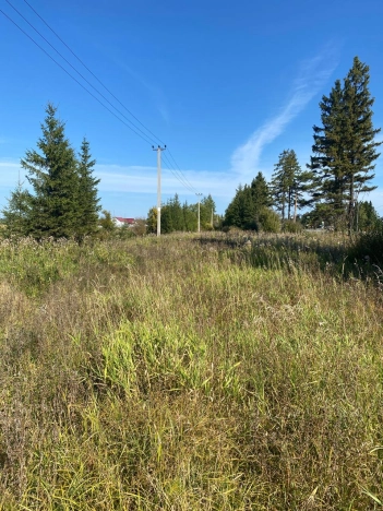 Купить земельный участок в Вологодской области. Вариант № 13732, 11, площадь -  квм, цена 7800000 рублей