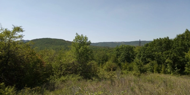 Купить земельный участок на улице Центральная в Новороссийске. Вариант № 11904, 7, площадь -  квм, цена 634000 рублей