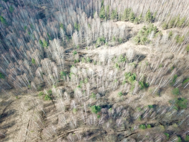 Купить земельный участок в Владимире. Вариант № 2171, 2, площадь -  квм, цена 350000 рублей