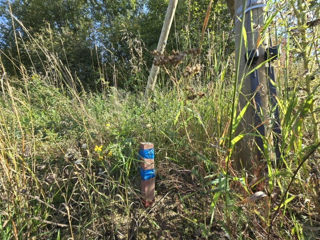 Купить земельный участок в Петрозаводске. Вариант № 2664102, 4, площадь -  квм, цена 765000 рублей