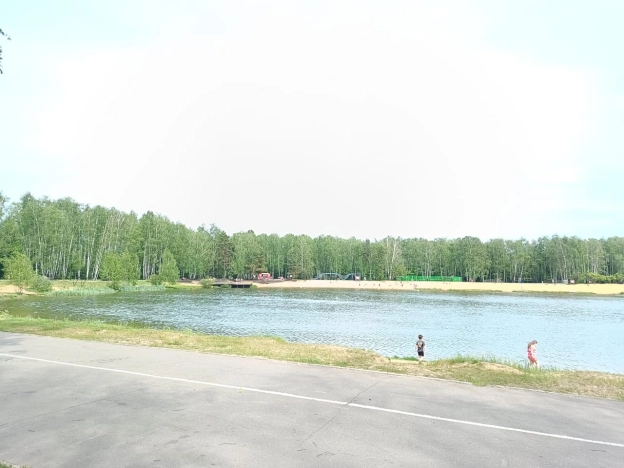 Купить квартиру у метро Некрасовка в Балашихе. Вариант № 46334, 35, площадь - квм, цена 8699000 рублей